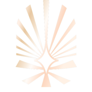 Logo phân khu Hừng Đông Vinhome Wonder City